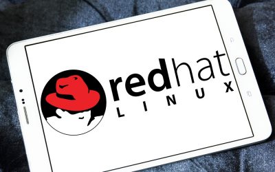 Red Hat Enterprise Linux: um sistema operacional livre e seguro ao mesmo tempo